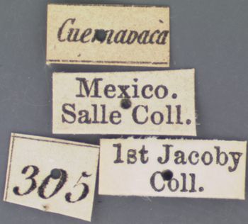 Media type: image; Entomology 8792   Aspect: labels 2